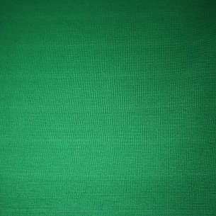 Трикотаж интерлок, цвет - Зелёный