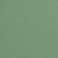 Натуральная кожа оленя одёжная, цвет - Зелёный насыщенный