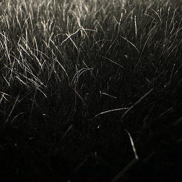 Экомех пальтовый, цвет - Чёрный