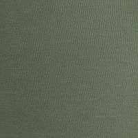 Футер 2х нитка с эффектом велюра, качество компакт пенье, цвет - Зелёный
