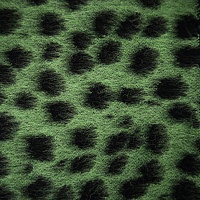 Пальтовая ткань, цвет - Зелёный