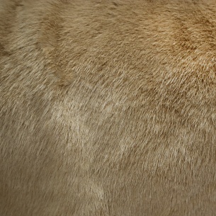 Искусственный мех на трикотажной основе, цвет - Персиковый