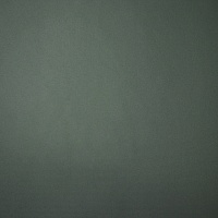 Курточная ткань, цвет - Зелёный