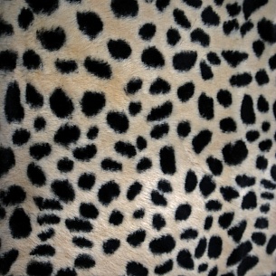 Искусственный мех на трикотажной основе, цвет - Мультиколор